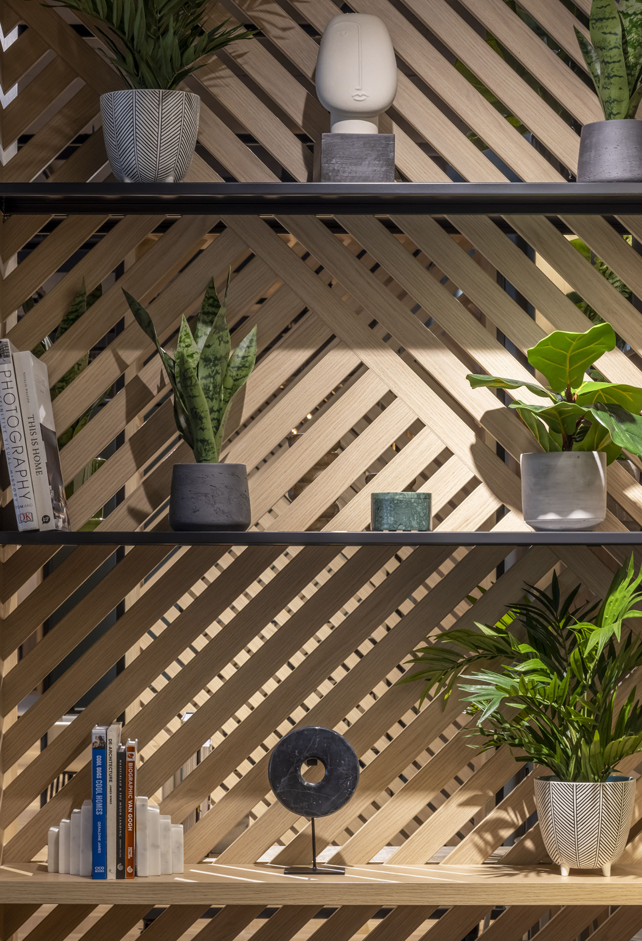 Shelves with plants and books Shelves with plants and books