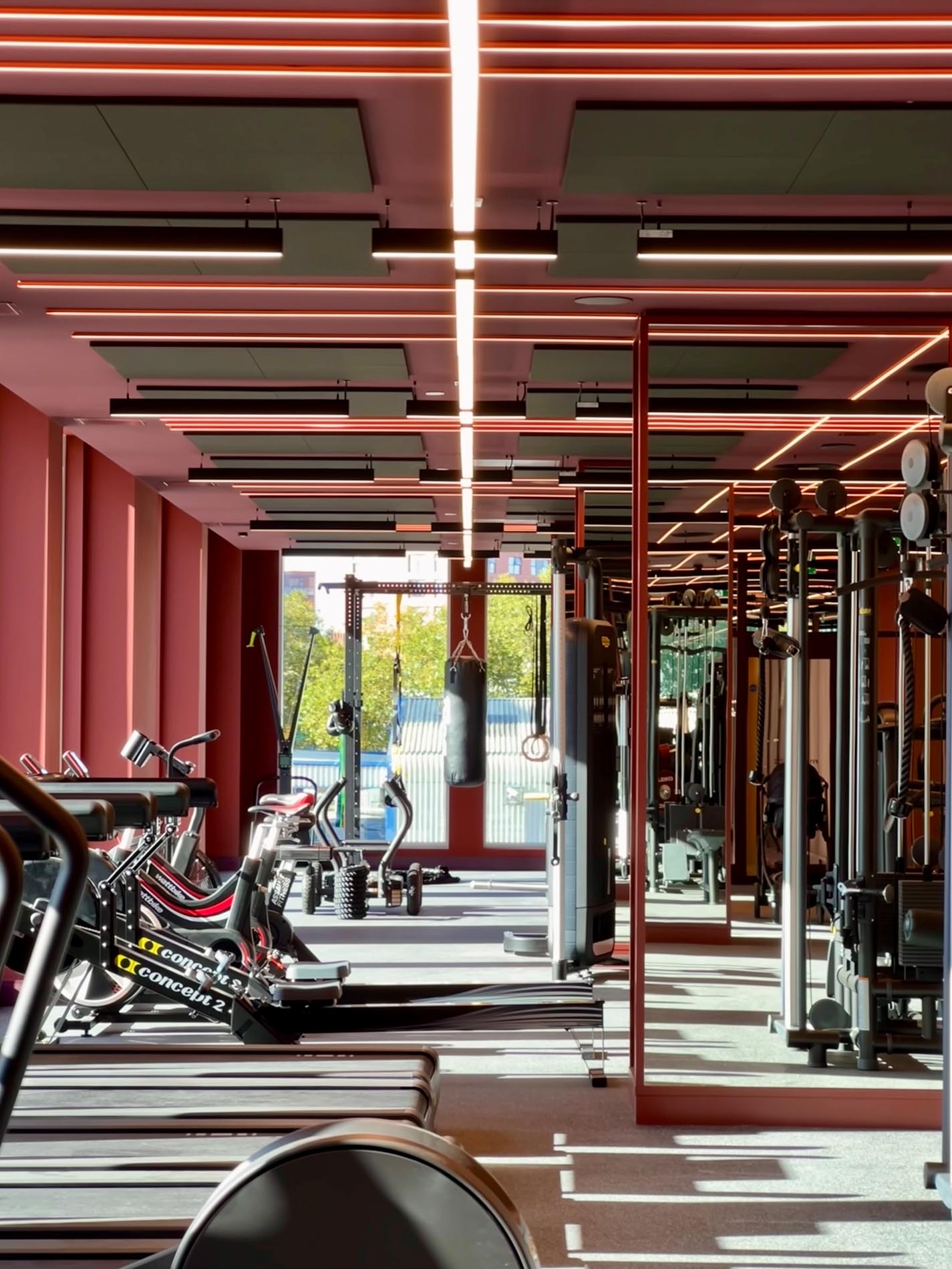 Gym Exercise Equipment Gym Exercise Equipment