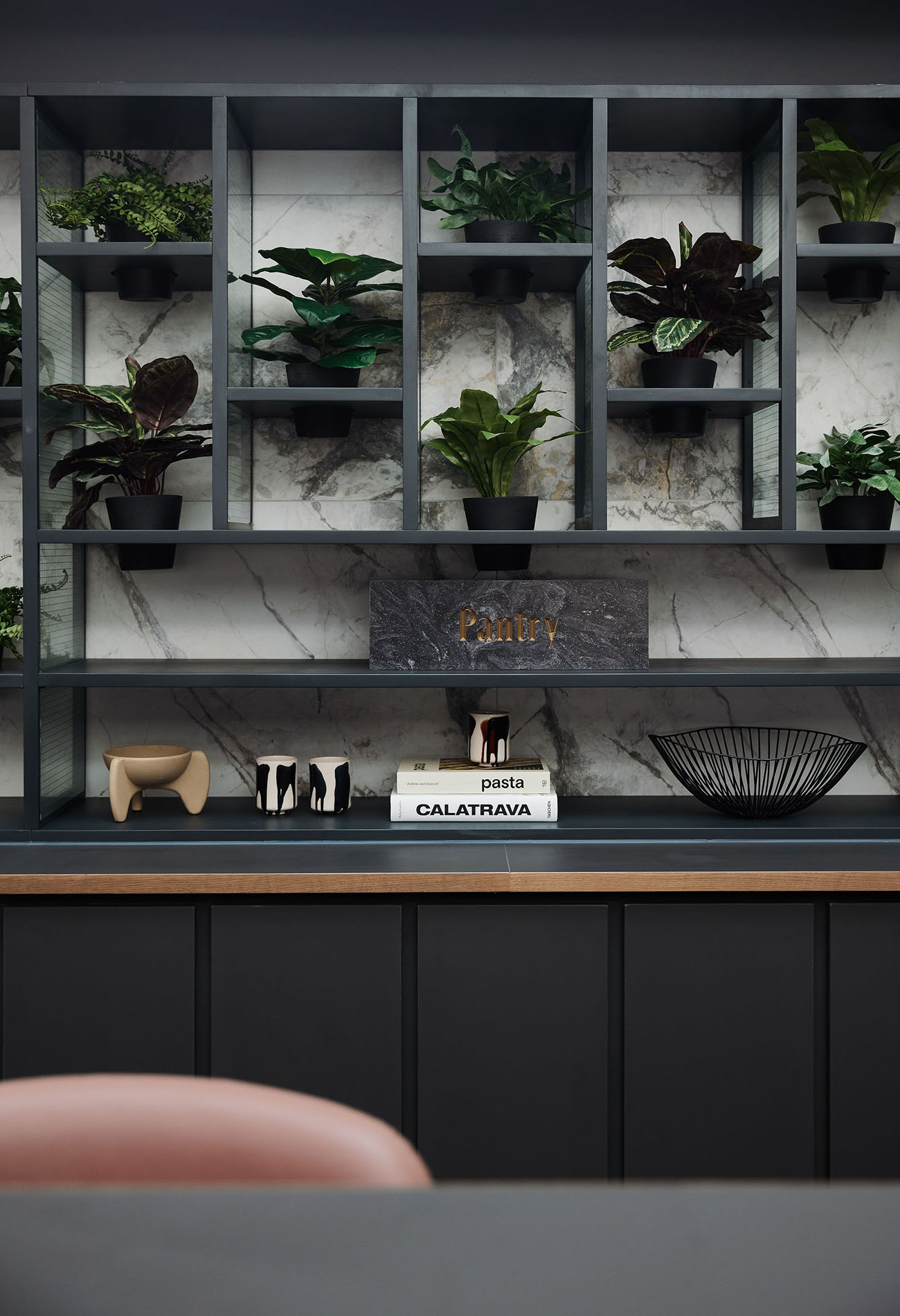 Shelves with potted plants