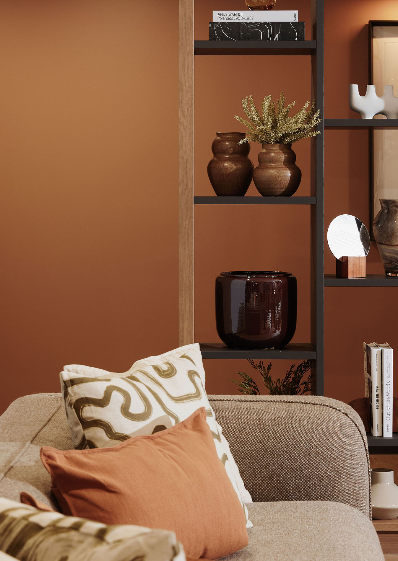 Sofa with cushions by shelves